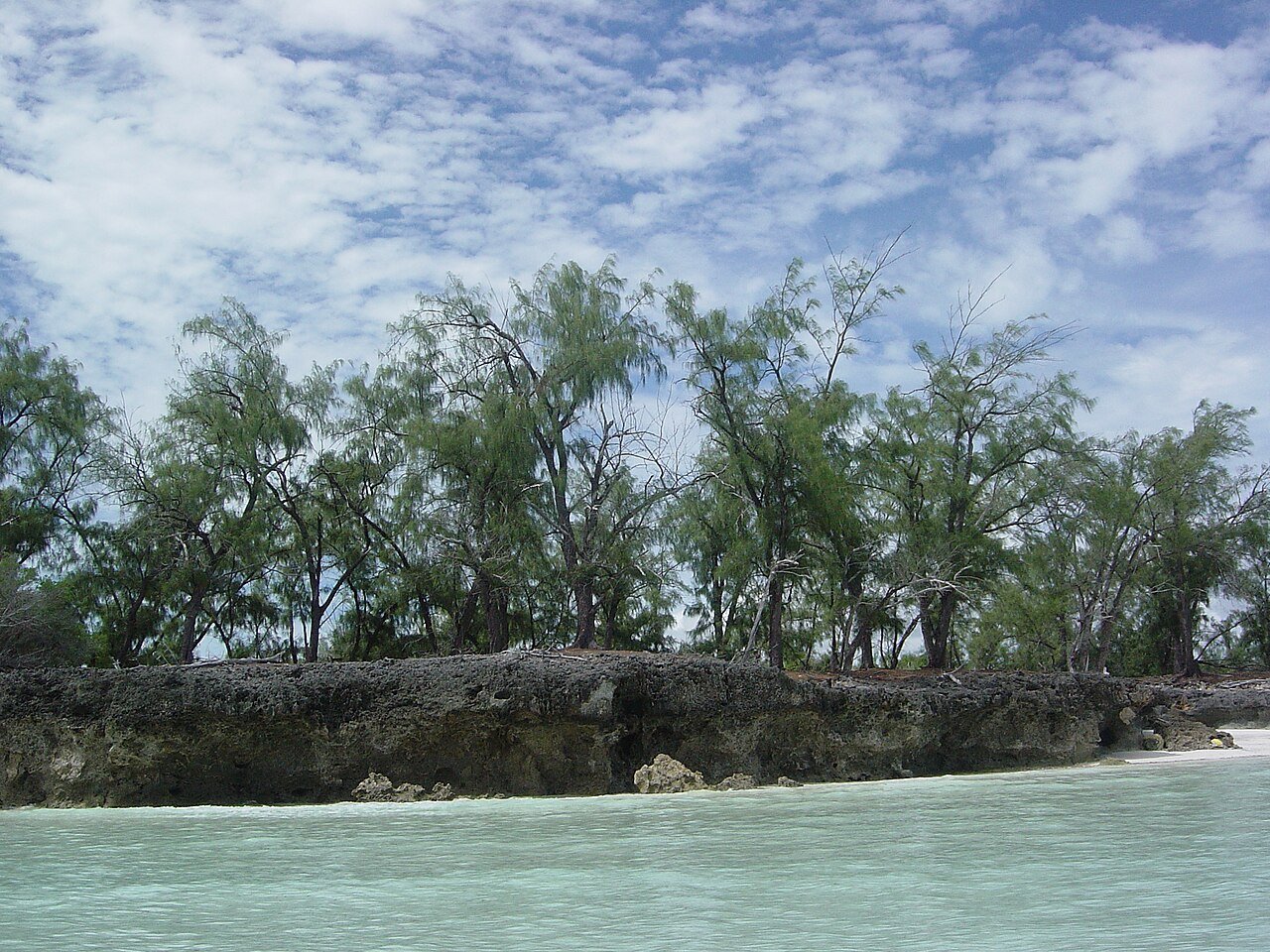Aldabra, kuva 2